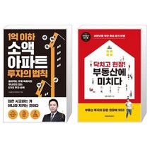 1억 이하 소액 아파트 투자의 법칙 + 닥치고 현장 부동산에 미치다 (마스크제공)