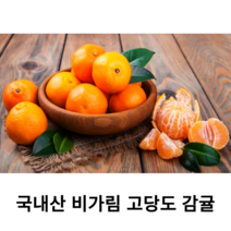국내산 신선한 제주 감귤 비가림귤 1kg 국산 비가림 하우스 감귤 당도 높은 타이벡 불로초 감귤 노지 감귤