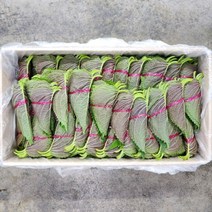 깻잎 5단