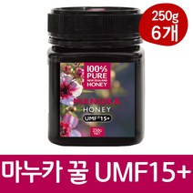 뉴질랜드 마누카 꿀 허니 umf15+ 벌꿀 100%, 6개, 250g