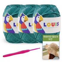 [니뜨] 2022 루이(45g)x3볼+하와이안챙모자도안+후르츠코바늘6/0호, 125_무광 터키