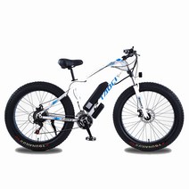 세계일주 하이브리드 자전거 36V10AH350W 160cm 리튬 배터리 mtb 전기자전거 7단, 화이트