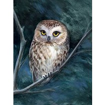 호랑이 그림 액자 풍수 세트 대형 인테리어 5d 다이아몬드 페인팅 키트 동물 다이아몬드 자수 판매 올빼미 사진 모조 다이아몬드 모자이크 수제 선물, hbcg5347, 원형 30x40cm