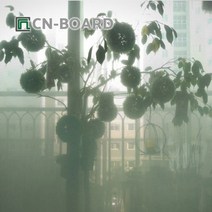 가재울유통 씨엔보드_ 인테리어 창문용 시트지(100x200㎝) 그린 그라데이션 보호 사생활 막 574950-9-40596ea, gajae7195 본상품선택