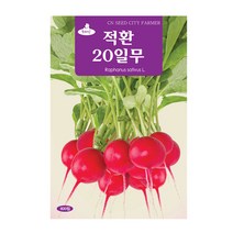 청농 적환20일 무씨앗 600립, 단품