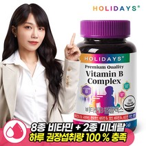 홀리데이즈 10종복합기능성 활력에너지 비타민B 컴플렉스 500mg x 90정 (3개월분), 기타, 단품없음