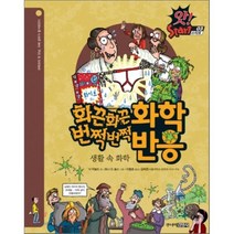 화끈화끈 화학 · 번쩍번쩍 반응 : 생활 속 화학, 닉 아놀드 글/토니 드 솔스 그림/이충호 역, 주니어김영사
