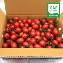 ThreePines GAP 대추 방울토마토, 1box, 2Kg(1-2번과)