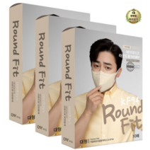 라이브잇 이로와프리즘방역마스크(KF94)(대형)(연한황색), 연한황색, 42개, 10개입