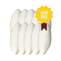 국내산 국내생산 갑오징어뼈및분말 천연칼슘제 강형욱 식분증 앵무새 거북이 달팽이 가재 이구아나 반려동물 천연지혈제 모든반려동물 무첨가 갑각류 설치류 조류 파충류, 260g(분말)