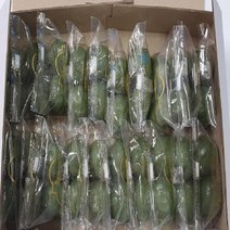 쑥색꿀떡 냉동 2개 포장 (20Gx2개)x20개, 단품, 단품