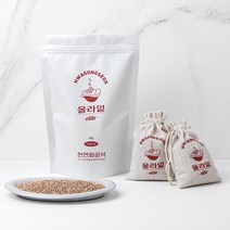 올라잍 천연화공석 반영구 탈취제 제습제 냄새제거 화공석 올라잍 제습탈취제, 1KG+편백오일 패키지