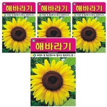 해바라기 씨앗 4개입 꽃씨앗, 1개