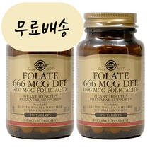 솔가 엽산 400mcg 250개입 2개 세트 [미국 직배송]
