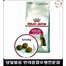 시력저하고양이눈건강관리도와주는 고양이용품쇼핑몰 대용량고양이사료 수술후고양이사료
