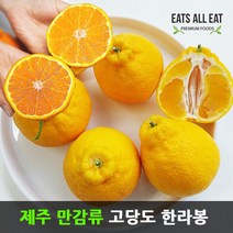이츠올릿 제주 고당도 한라봉 감귤 3kg 제주도 하우스 귤 택배 선물 세트, 레드향＋선물가방_5kg(특대_8-16과)