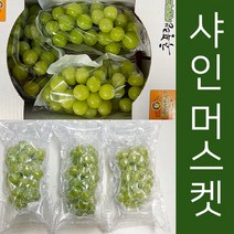 [특] 달콤하고 씨가없어 아이들이 잘먹는 샤인머스켓 2kg 망고포도 고당도 샤인머스켓 (2수~4수) 2kg