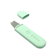 퍼펙트 아쿠아 필링기 진공 피지제거기, 녹색