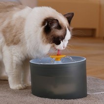 Grant 투명 자동 고양이 정수기 대용량, 녹색