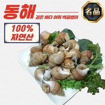 동해 자연산 활 백골뱅이 1kg 대 (15-25미) 제철 골뱅이탕 무침 2차안주 밀키트, 북해도 활 가리비 1kg (6-8미)
