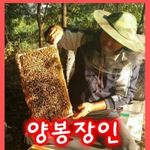 성도벌꿀 100%국내산 천연벌꿀 아카시아꿀2.4kg .감로꿀2.4kg 피나무꿀2.4kg 밤꿀 2.4kg, 아카시아꿀2.4kg.