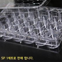화학실험 개체실험 뚜껑홈판 24홀 5P 과학실 반응 생물 플레이트 세포 연구실 수업용