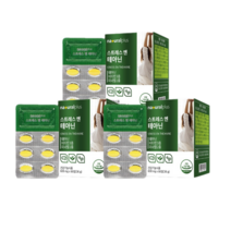내츄럴플러스 스트레스 엔 테아닌 L테아닌 효능 수면 유도제 영양제 600mg x 60정, 3개(3개월)