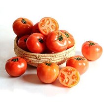 탱글탱글 완숙토마토 2~10kg/쥬스용, 02. 쥬스용 토마토 3kg