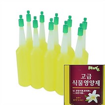 리시안제이 식물 영양제 10P 화초영양제 관엽식물 영양제