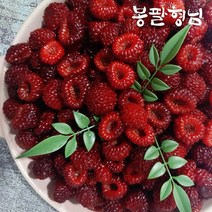 새콤달콤 포항 산딸기 1kg 급냉 신선포장, 단품