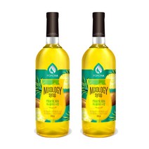 포모나 믹솔로지 피나콜라다 시럽 1000ml 2개세트, 2개