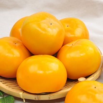 [GAP] 경남 창원 강호등님의 단감 5kg 10kg 가정용 정품, 정품 10kg(60과)/중과