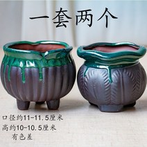 가드닝 만손초 선인장 트리옵스 테이블 아악무 소형 특이한 작은 화분 다육 홈 다유기, 두 세트 구매 제한, 중간 정도, 도자기