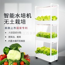 가정용스마트팜 수경재배기 야채키우기 유리온실 화분 무토양 재배 장비 가족 발코니 심기 야채와 딸기 자동 수경 다층 입체, [08] 조명이 있는 4중 물 순환, [01] 작은