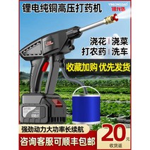 농약 분무기 무선 스프레이 고압 충전식 휴대용 세차, 리튬배터리(배터리2개) + 5m 튜브