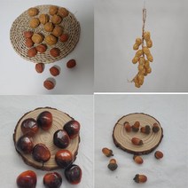 가을장식 견과류모형모음 호두 땅콩 알밤 도토리 대보름소품 열매 미니어쳐 유치원 어린이집 학습소품, 알밤-10P
