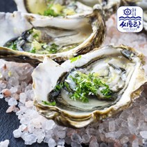 경남 통영 하프쉘(반만 깐굴) 50미/ 1단 2~3인분, 단품