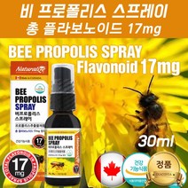 뿌리는 프로폴리스 스프레이 액 상 입냄새 캐나다 프로플로스 프리폴리스 플라보노이드 함량 17mg 비 프로폴리스 구강건강 항산화 온가족 꿀벌