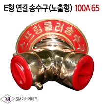 E형 연결송수구(노출형) 송수관 100A 65