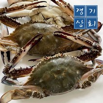 경기상회 국내산 가을 햇꽃게 숫꽃게 특대 대사이즈 급냉 1kg 2kg 3kg, 1kg(3~4마리), 1개