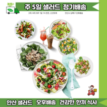 안산샐러드정기배송 2주 10일 매일배송 [ 안산샐러드 배달 ], 17~18시, B
