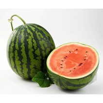 하우스수박 달콤한고당도 12 브릭스이상 달달한 꿀수박 4kg 5kg 6kg내외 왕수박, 06_하우스 정품꿀수박 선물용 (7KG내외)