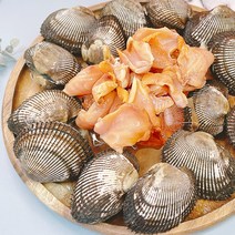 가을겨울 제철 통영굴 홍가리비 삼배체 굴구이찜 외, 1box, 피조개회1팩