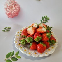 [삼랑진딸기] [산지직송] 지리산 산청 딸기 생딸기 설향딸기 킹스베리 제철 과일 1kg, <a.1> 설향 딸기 1kg (특품)