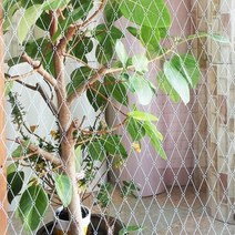 창문시트지 망입2 화이트 FPT-3016