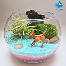 꽃사슴의 쉼터 - 틸란(이오난사) 원형볼 12cm 테라리움 DIY키트 세트, 주황