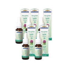 Larch 25ml Biofloral Fleurs De Bach 19, 5팩
