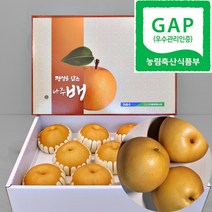 [산지직송] 23년도 수확 GAP인증 나주배 햇배 가정용 정품 선물용 배 선물세트 5kg 7.5kg 15kg, 1박스, 7.5kg (특품 11~13과)