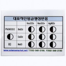 (사이언스마켓)ssc대표적인앙금생성반응키트 8종 반응판