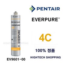 4C 필터 에버퓨어 순정 EV9601-00 PENTAIR, 1개